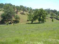 green field, browning hills