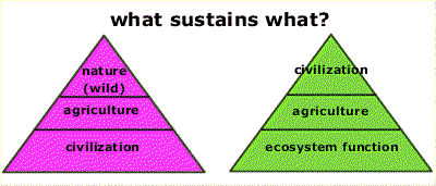 Diagram: nature as domain vs. process