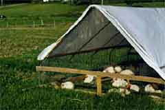 wire pen with tarp roof