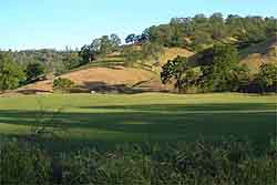 green meadow, brown hills