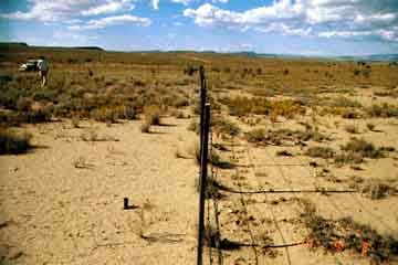 bare ground on left of fence, mostly bare ground on right