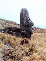 stone head on treeless slope