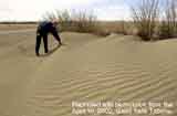 soil dune