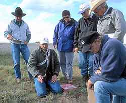 Land EKG class examines pasture