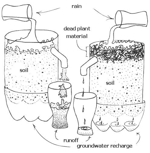 drawing of Gero Diekmann's apparatus