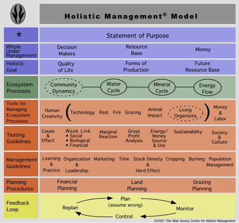 Whole system. Holistic menedgment. Holistic ecological Management. Holistic_resource_. Генетика холистика.