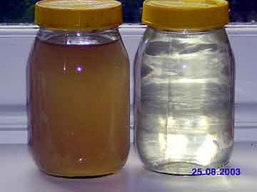 brown (left) and clear water
